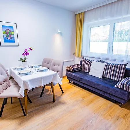 Soldanella 6 By Alpenidyll